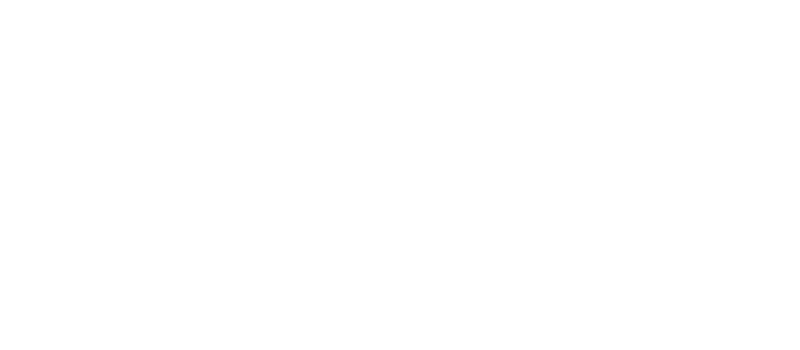 Logo Veerman Incl Symbool (WIT).png